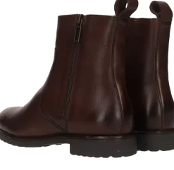 Ara Liverpool Enkellaarsjes Bruin Dames