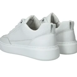 Cycleur DLX Buzz Sneakers Wit Heren