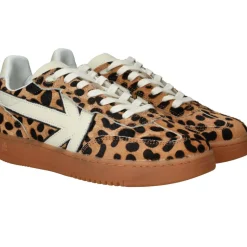 Kaotiko Boston V Sneakers Bruin Dames