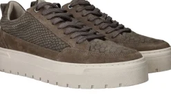 LOFF 1881 Sneakers Taupe Heren