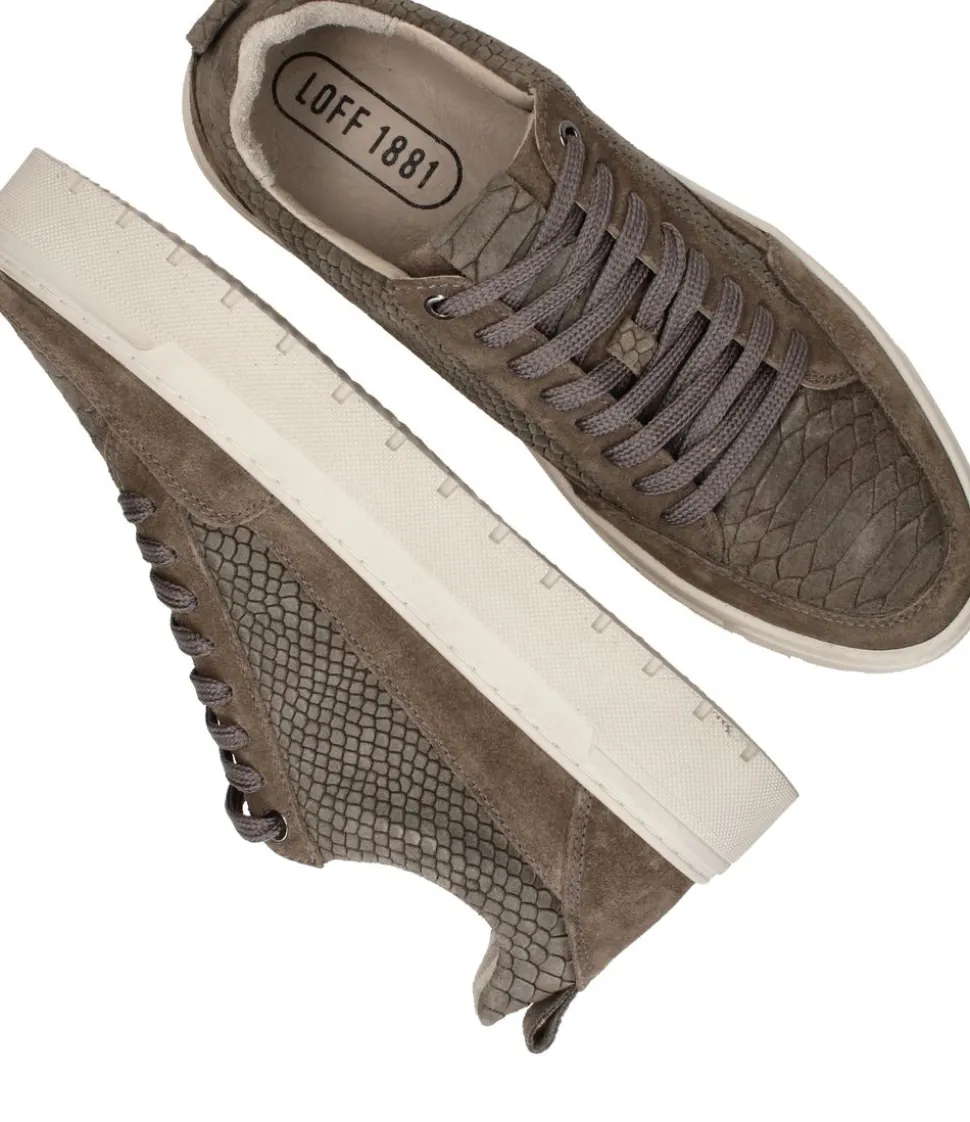 LOFF 1881 Sneakers Taupe Heren