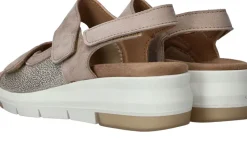 Sens Sandalen Taupe Dames