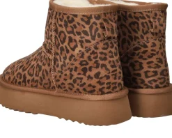 Shoecolate Boots Cognac Dames