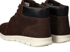 Timberland Graydon Basic Mid Lace Up Veterboots Bruin Heren