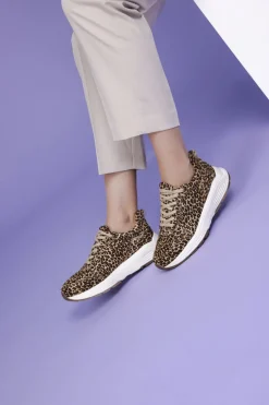 Xsensible Chain Stretchwalker Sneakers Multi Dames