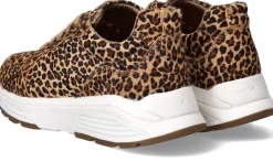 Xsensible Chain Stretchwalker Sneakers Multi Dames