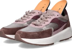 Xsensible Ponte Vecchio Stretchwalker Sneakers Multi Dames